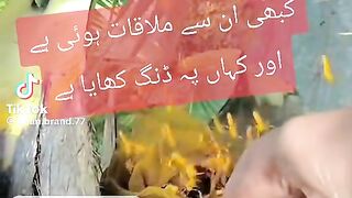Nice song 245