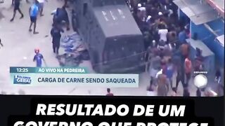 Rio as moscas