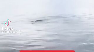 Vamos  pesca pra tirar o estresse kkķk