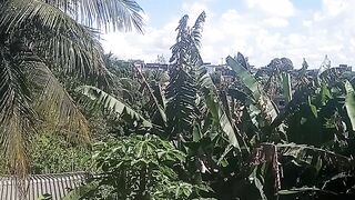A Sunny Day