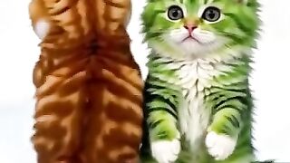 Cute kitties dance 😍