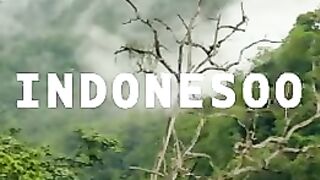 Pemandangan indah 11