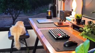 Cute Moments That Will Make You Smile 🐱❤️ 2