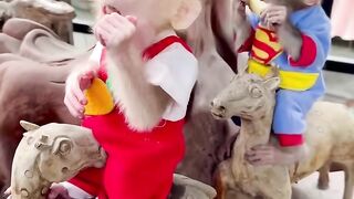 Cute Monkey Baby 5