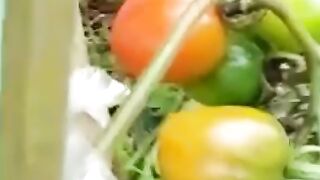Tomate cereja carregado de fruta