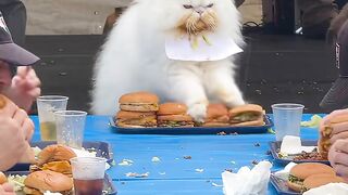 ​The Unstoppable Hamburger Eating Champion