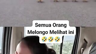 Bebek lucu