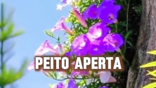 Deus É o Meu Sustento: Força e Esperança nos Momentos Difíceis 🙏