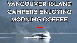 🌊 Mysterious Splash in the Middle of a Canadian Lake! 😲🇨🇦