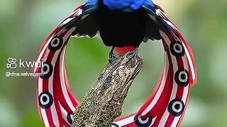 Natureza 26