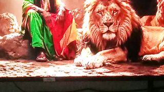 Reggae do amor