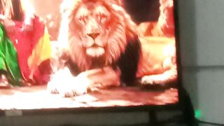 Reggae do amor 3