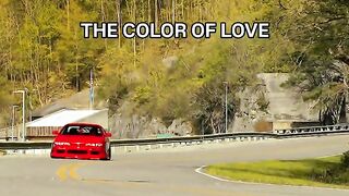 Red or white your like?