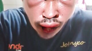 filter sengat tawon lucu