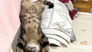 Ngantuk berat 2