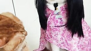Oyen Mandang fisik