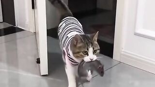 Disimpen buat nanti malam