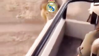 poor real madrid 🤣 2