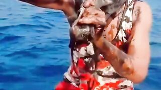 An octopus attacks a human.
