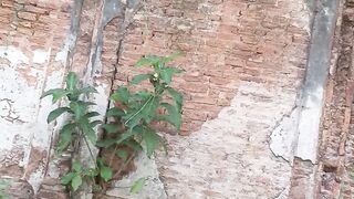ধর্মপুর গ্রামে