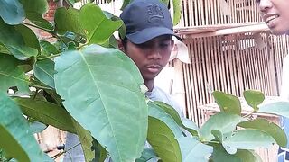 Ngabeaken jambu anu paman
