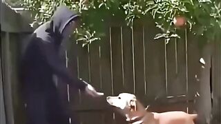 Very good dog 🤣🤣🤣