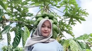 Kates muda bergoyang