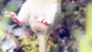 So majestic