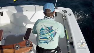 Black Marlin Spotted! Look At That Blue Tail!