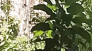 কল্পনা