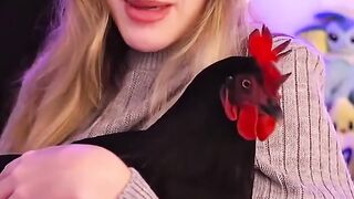 Ayam hitam bergoyang dikasur yang putih