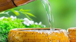 Relaxing Beautiful Music 🌿 Calm Music #111 #bamboowatersounds #relax #meditationmusic