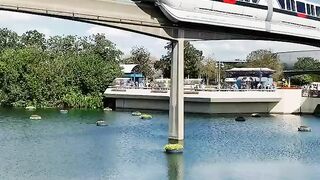 View the train from the beautiful flower garden