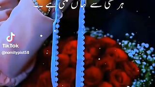 Beautiful Song 294