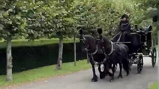 Ad Baan Trouwkoetsen