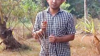 Video Comedy di ketawain kambing