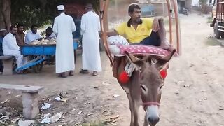 Tadai Kalan Sidhauli