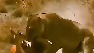 Mom vs mom