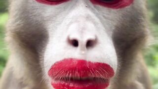 Funny videos that will make you laugh out loud