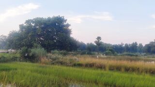 Best evening village nature