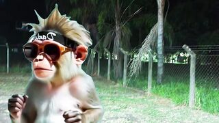 You Won’t Believe What Happened!  This Was NOT Suppose to Happen! Funniest Moment Ever!  I Can’t Stop Laughing!  What Just Happened?!