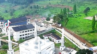 Pemandangan 43
