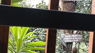 View nature 2
