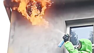 Others Remove Wasp Nest vs The Last One.. 💀