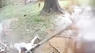 Grim Reaper vs. The Angel
