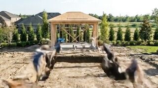Luxury Swimming Pool Transformation | Stunning Residential Time-Lapse