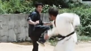 Bruce Lee vs vandaame