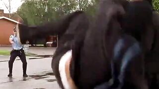 very funny killer man