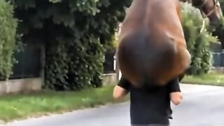 Isso na se vê todo dia