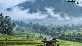 Rainy Journey 🌧️ Relaxing Travel Vibes & Calm Music